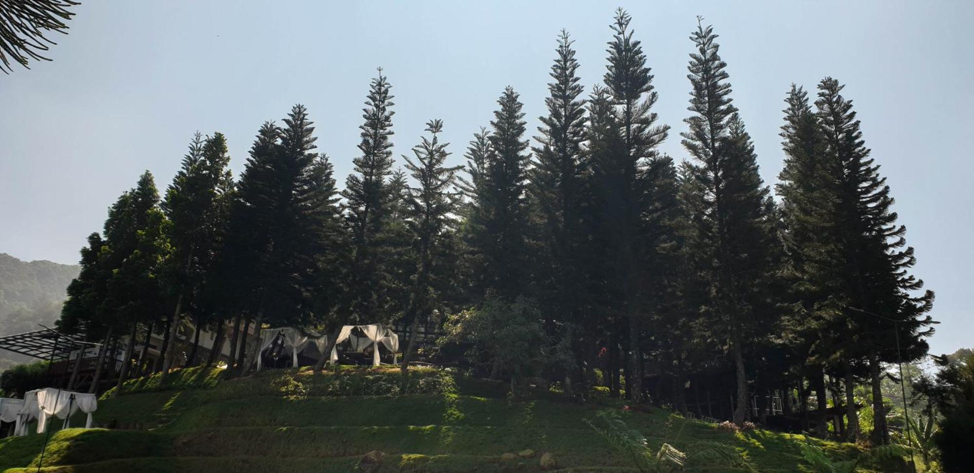 Damar Langit Resort Cisarua Exteriér fotografie